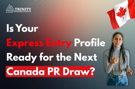 Canada Express Entry Score Trends: November 2025 Pool Data Reveals Key Shifts - Trenity Consultants